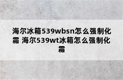 海尔冰箱539wbsn怎么强制化霜 海尔539wt冰箱怎么强制化霜